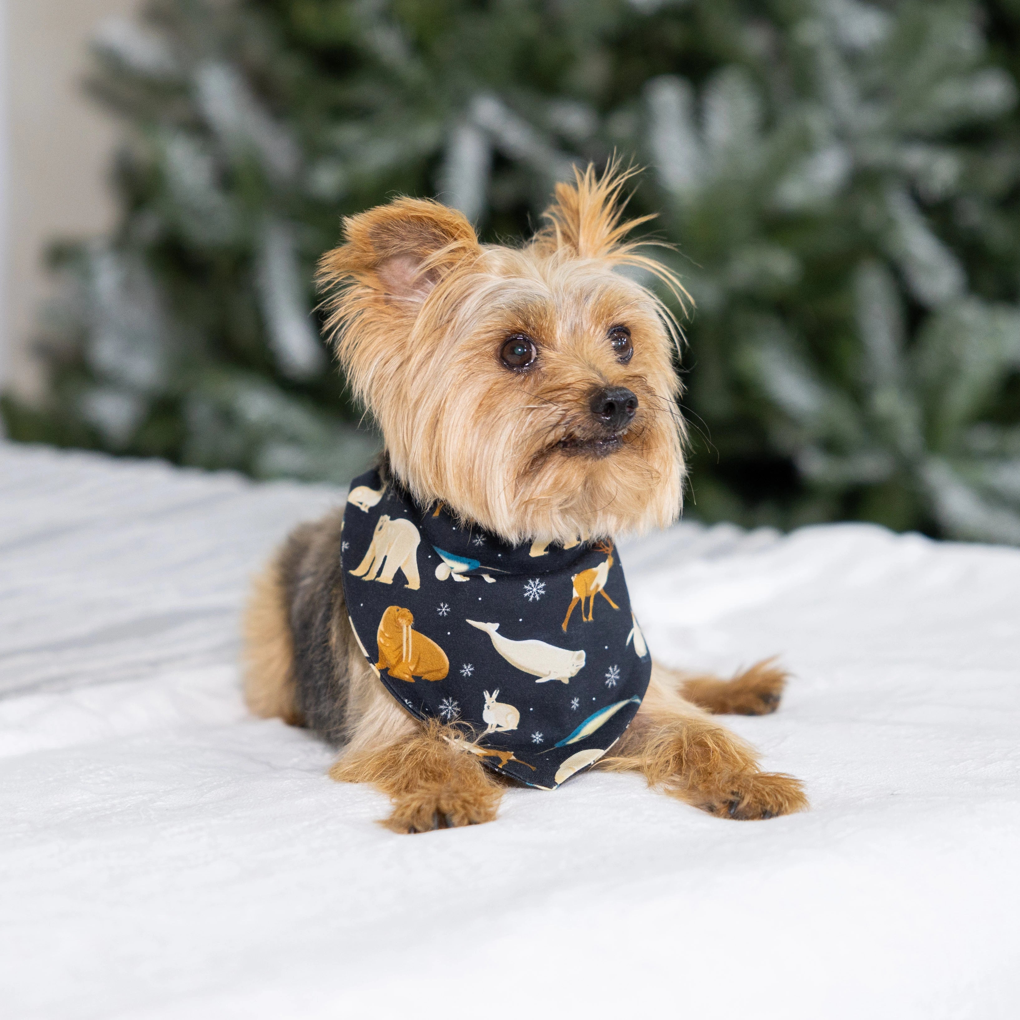 Arctic Animals Pet Bandana