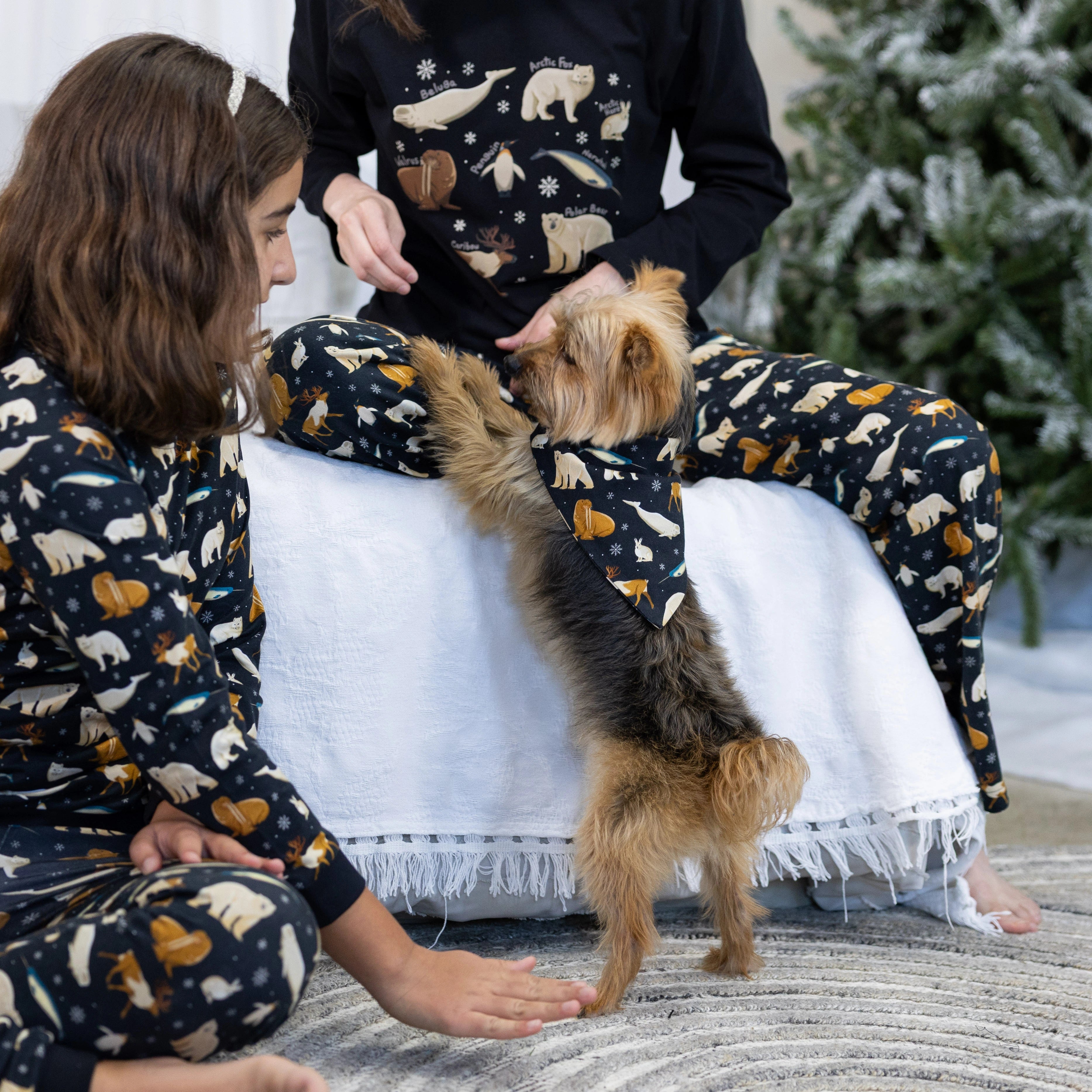 Arctic Animals Pet Bandana