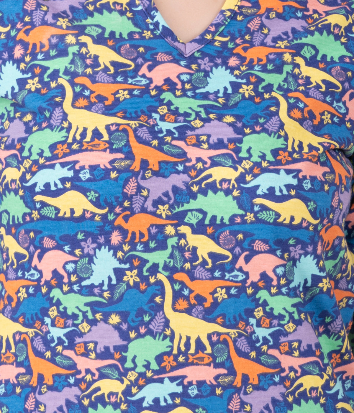 Dinosaurs & Fossils Split Neck Tunic Top