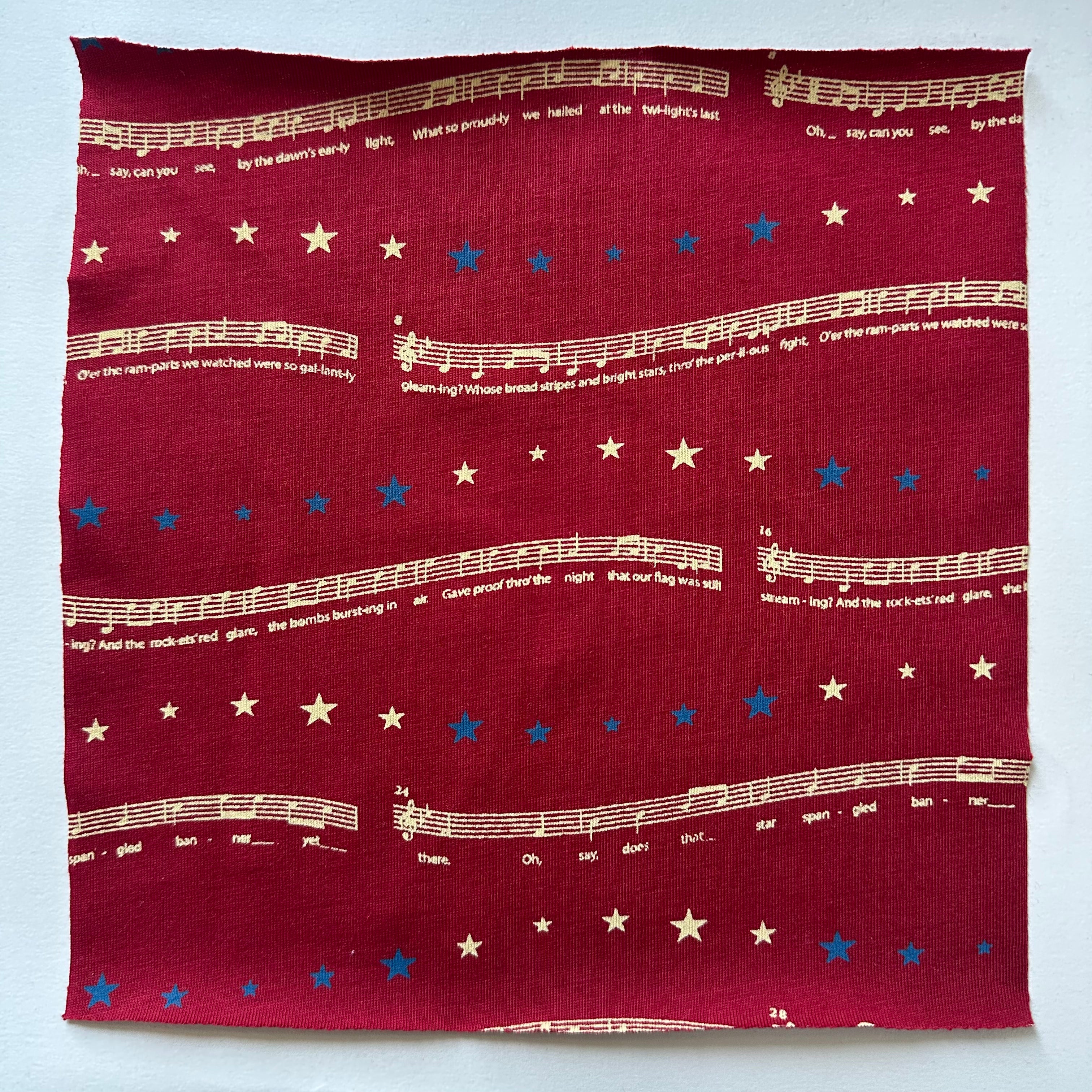 STEAM Fabric Swatches