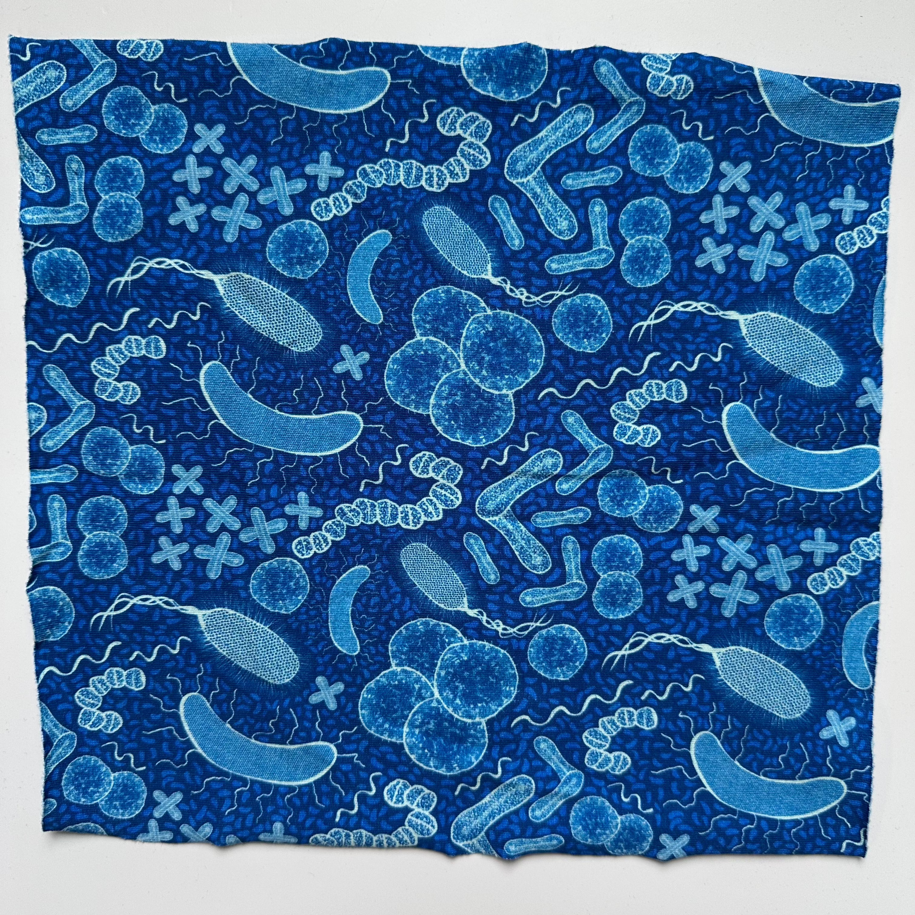 STEAM Fabric Swatches