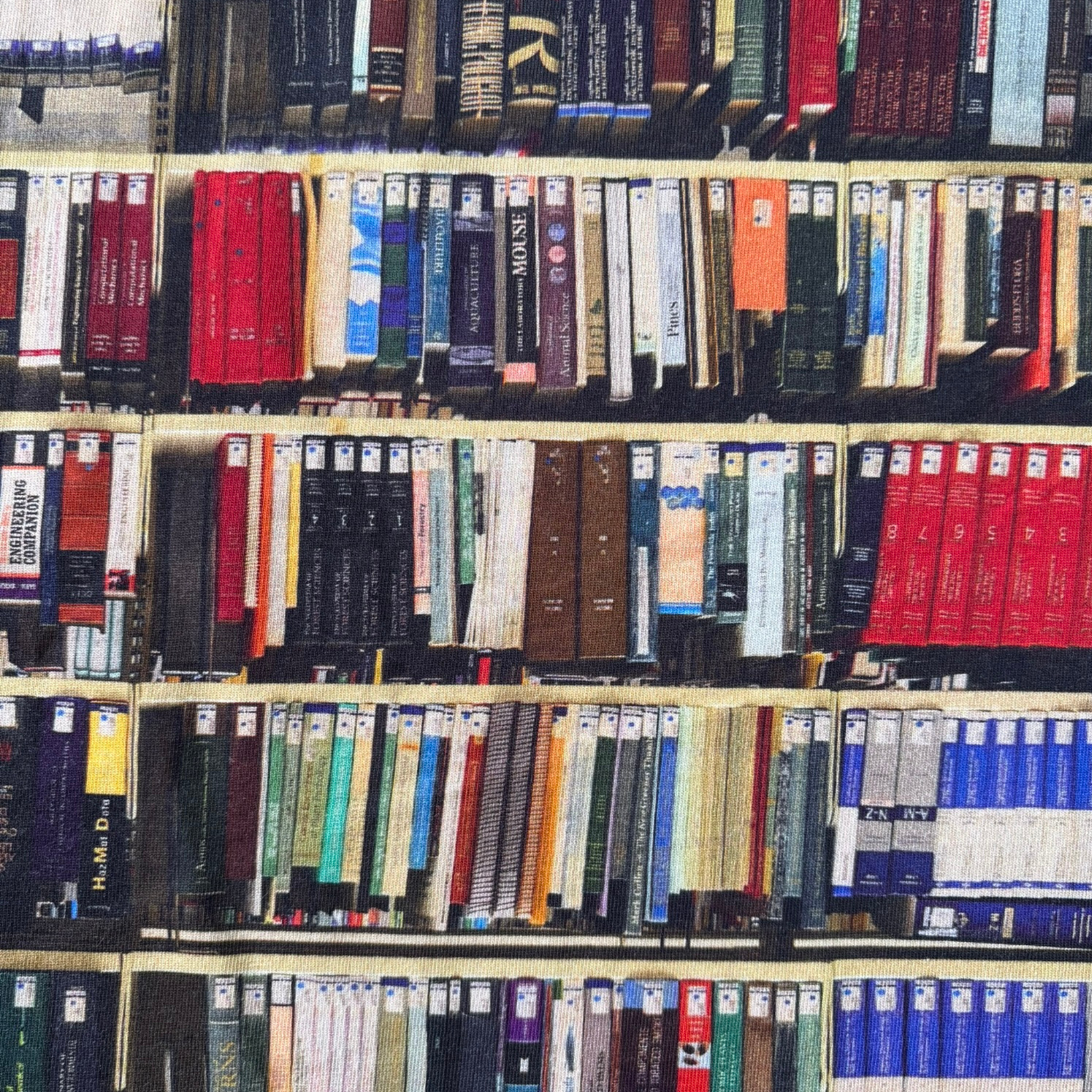 Library Shelves Sleeveless Twirl Dress