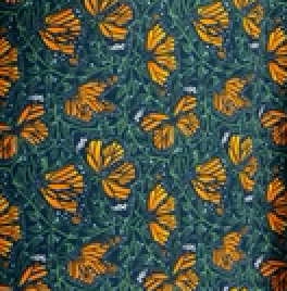 Monarch Butterfly