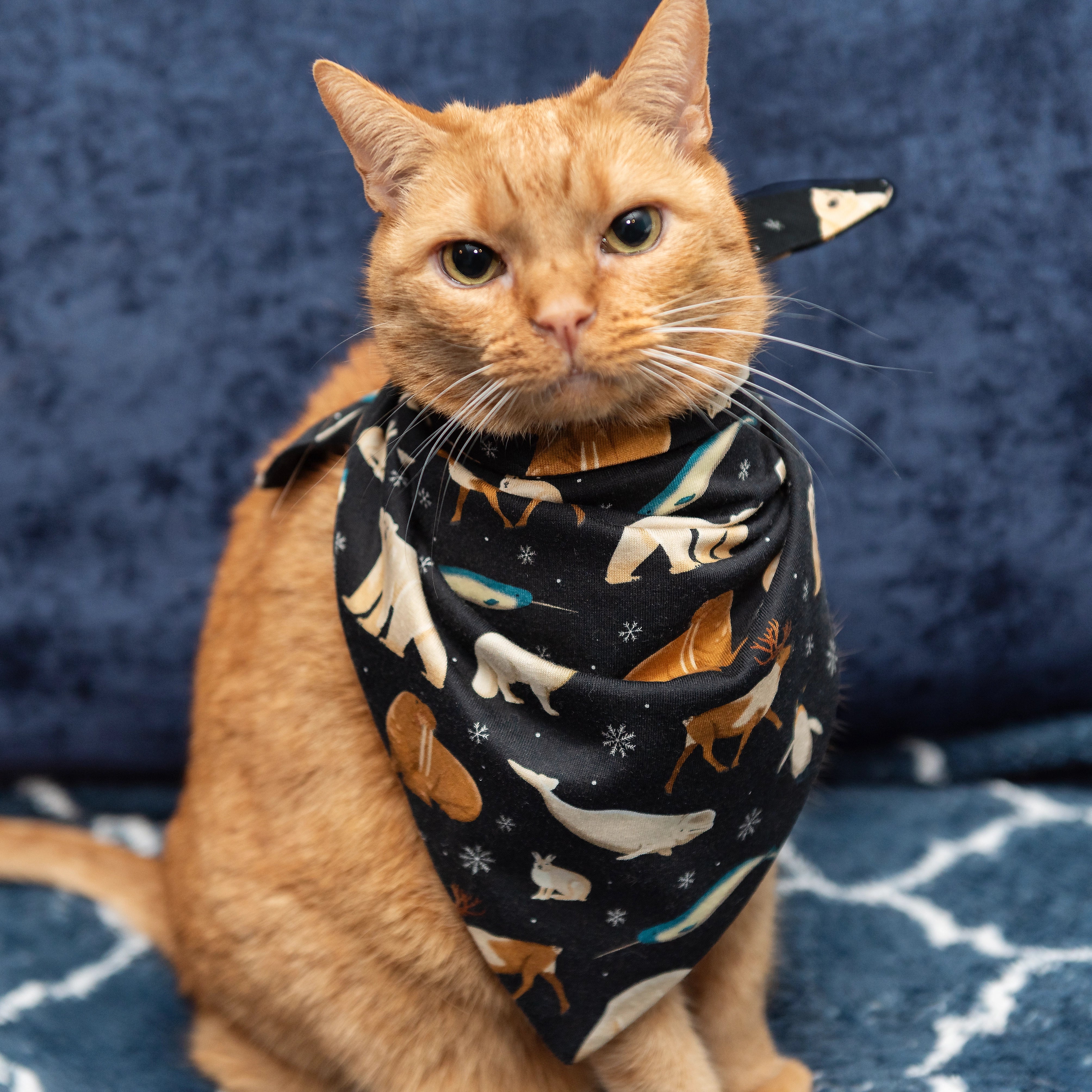 Arctic Animals Pet Bandana