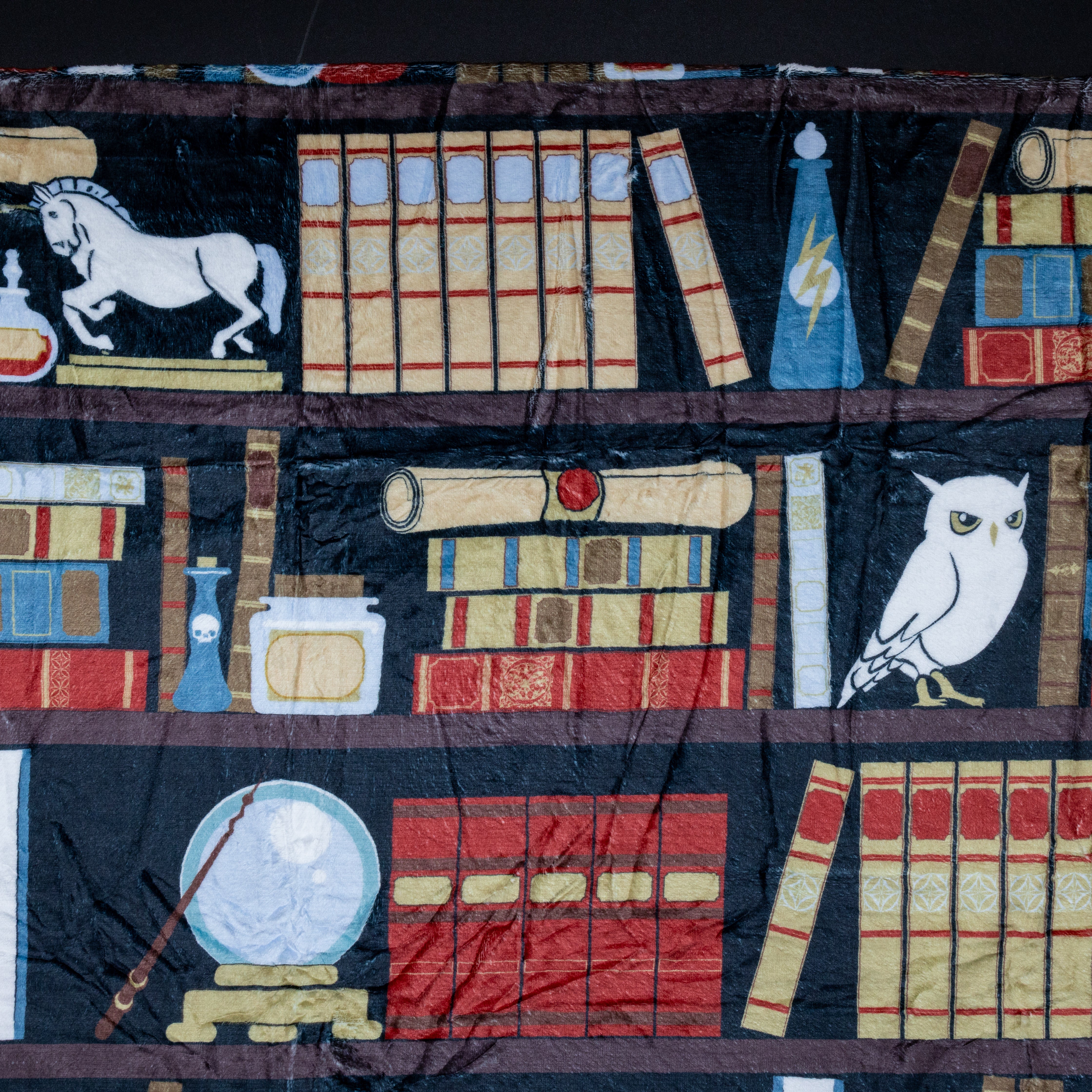 Librarian's Secret Chamber Blanket