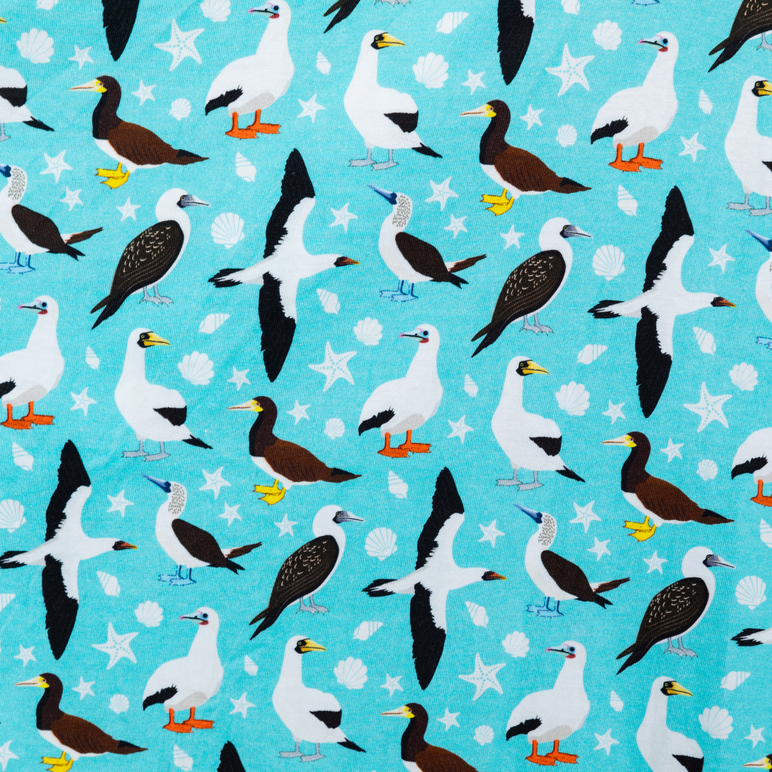 Booby Birds Twirl Dress