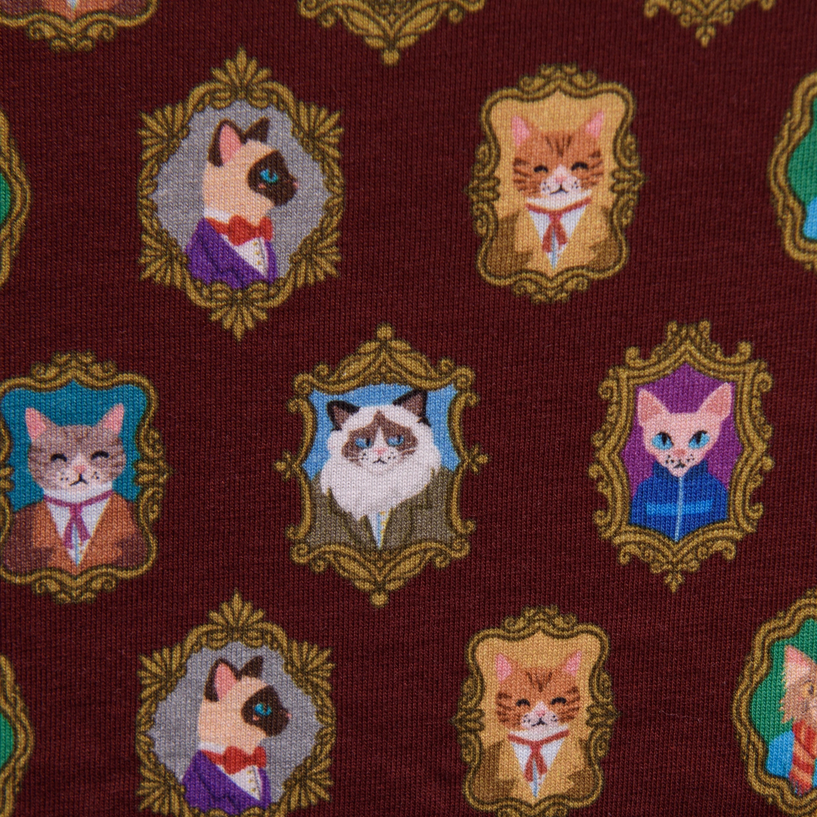 Cat Portraits