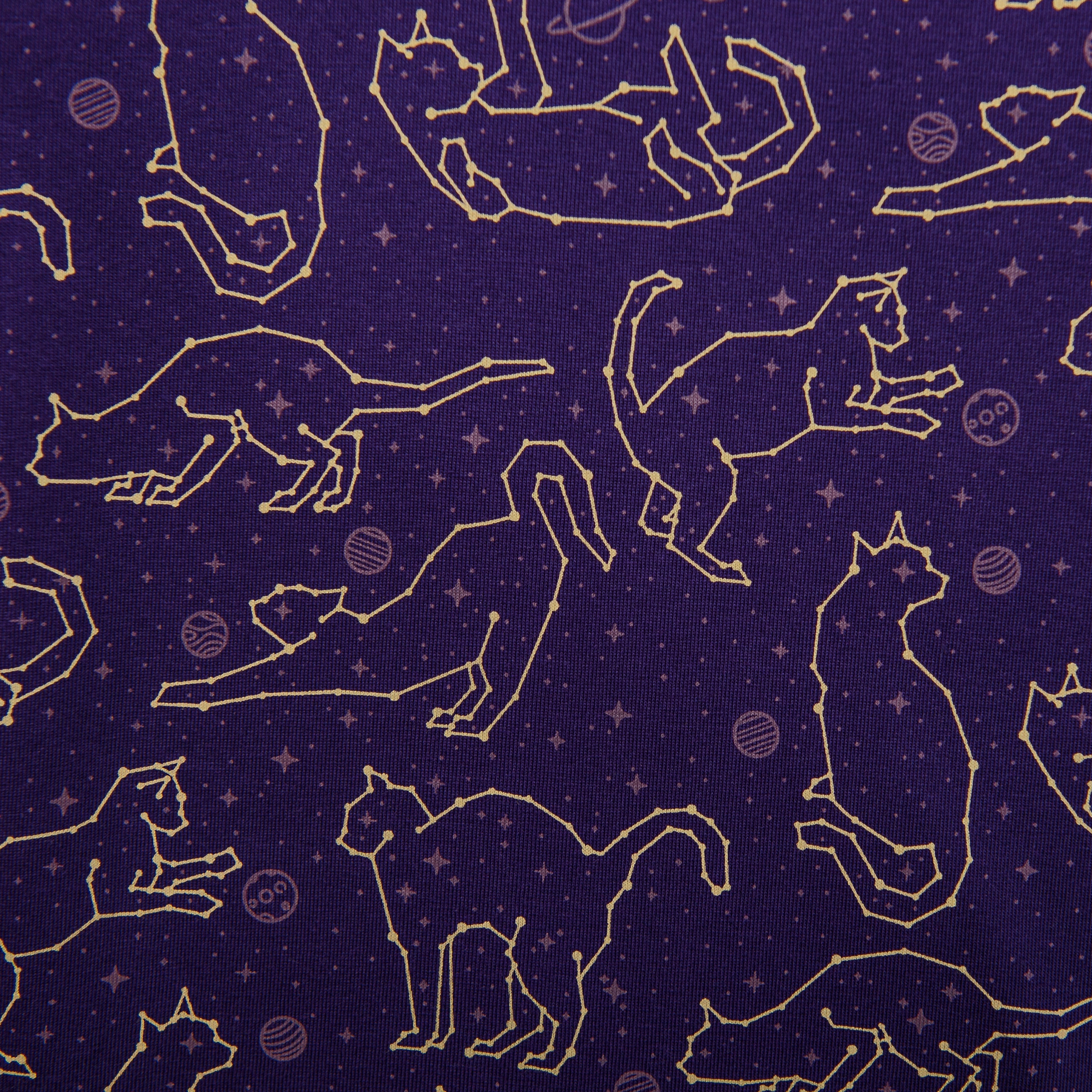Cats Constellations