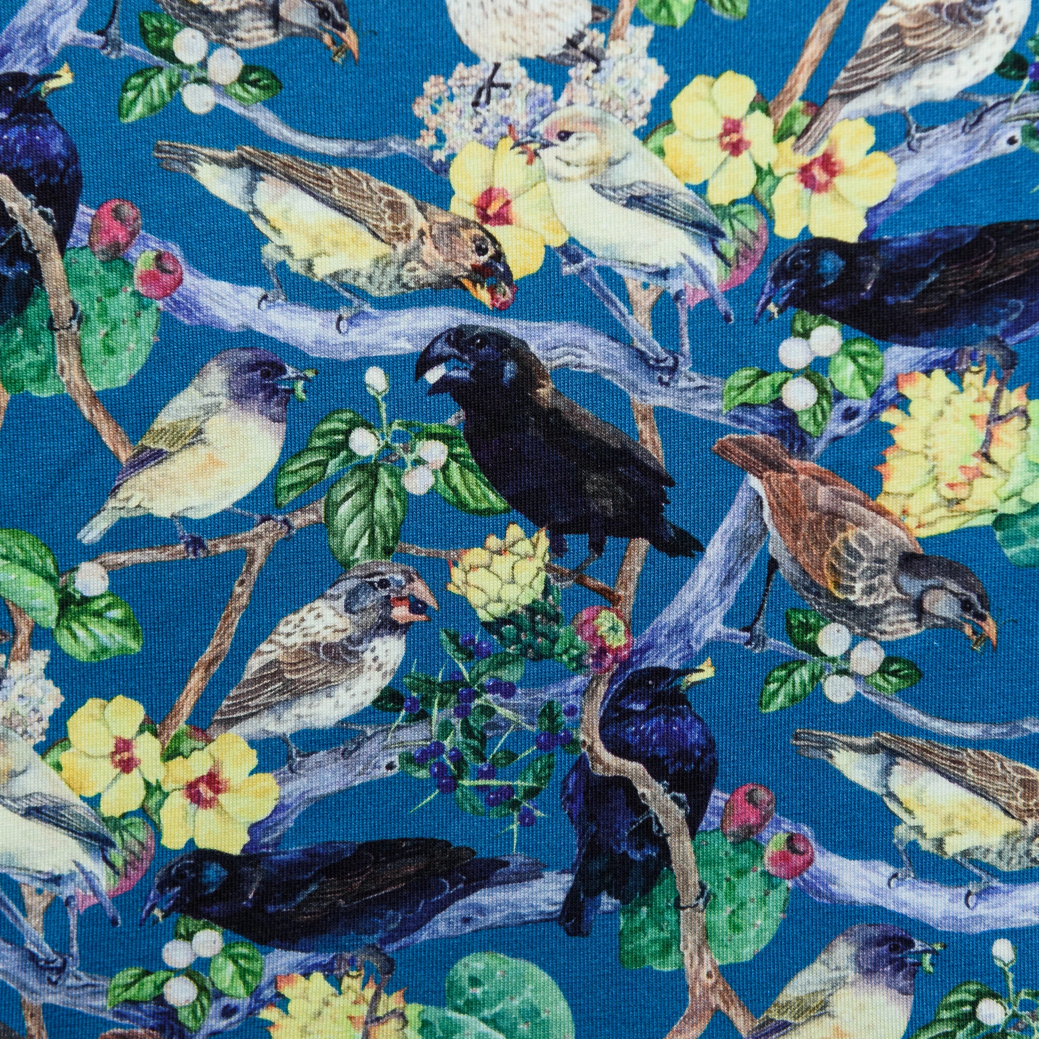 Darwin's Finches