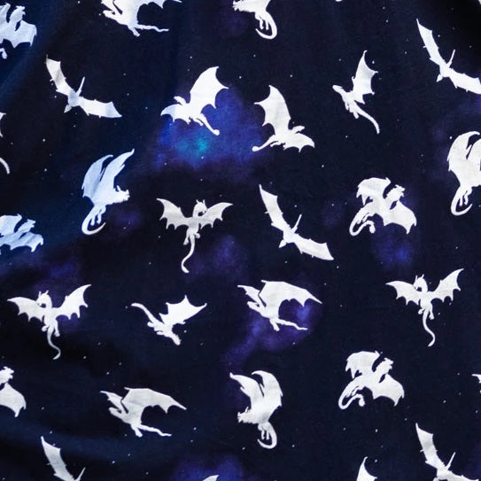 Dragons in Space