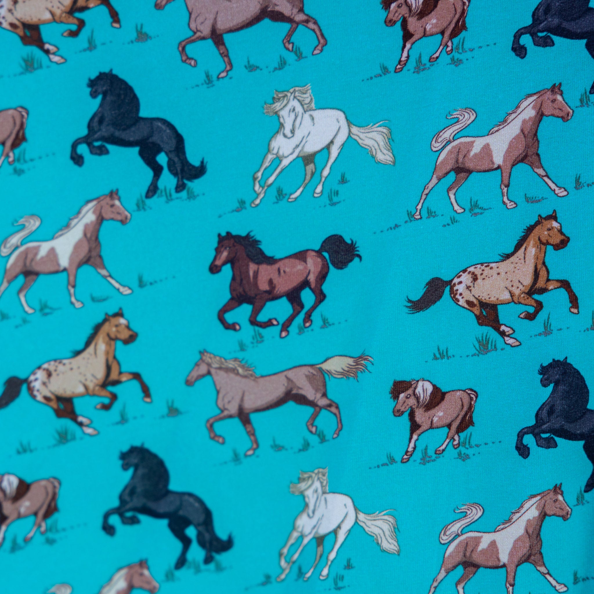 Horsing Around Tunic Top