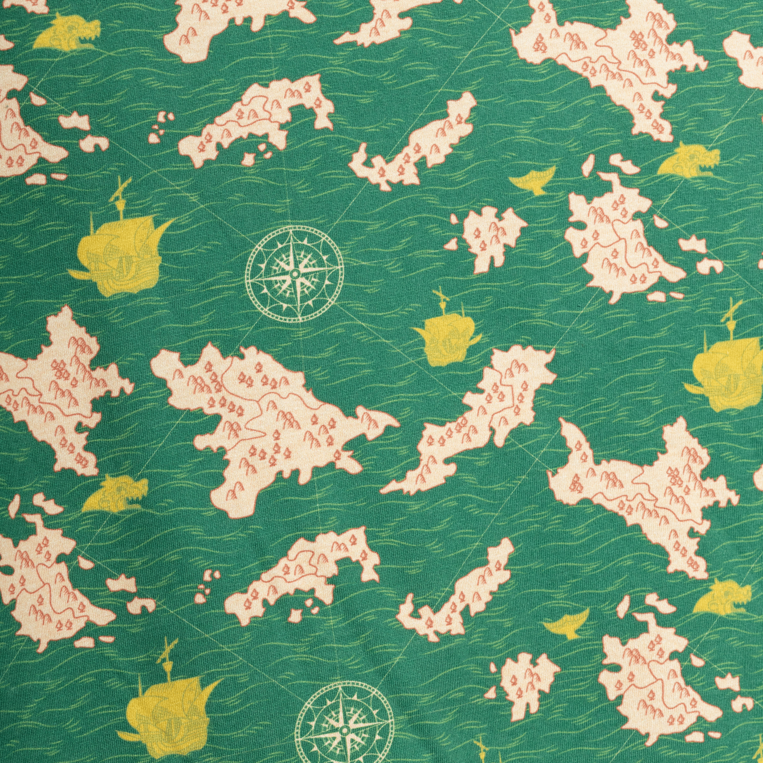 Uncharted Territories Twirl Dress