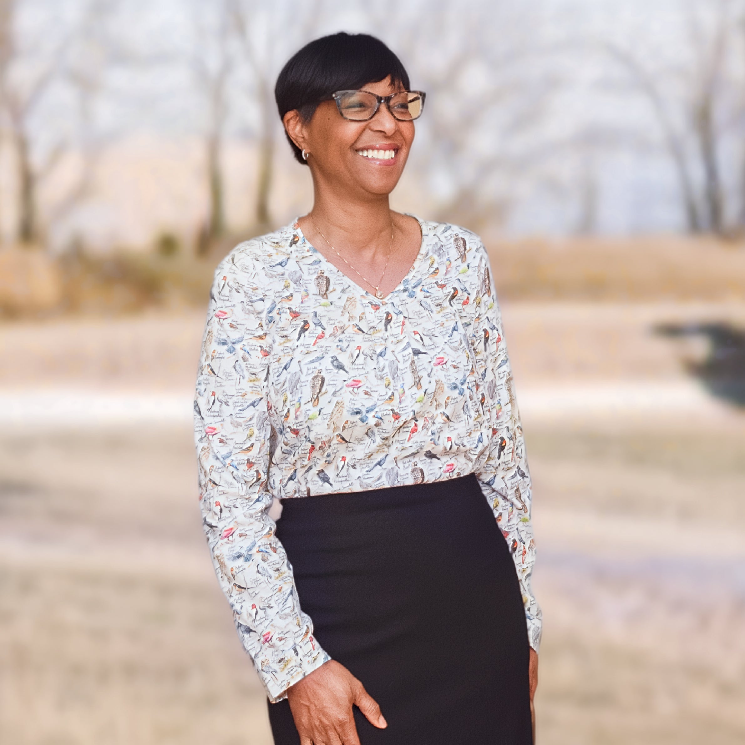 North American Birds Top