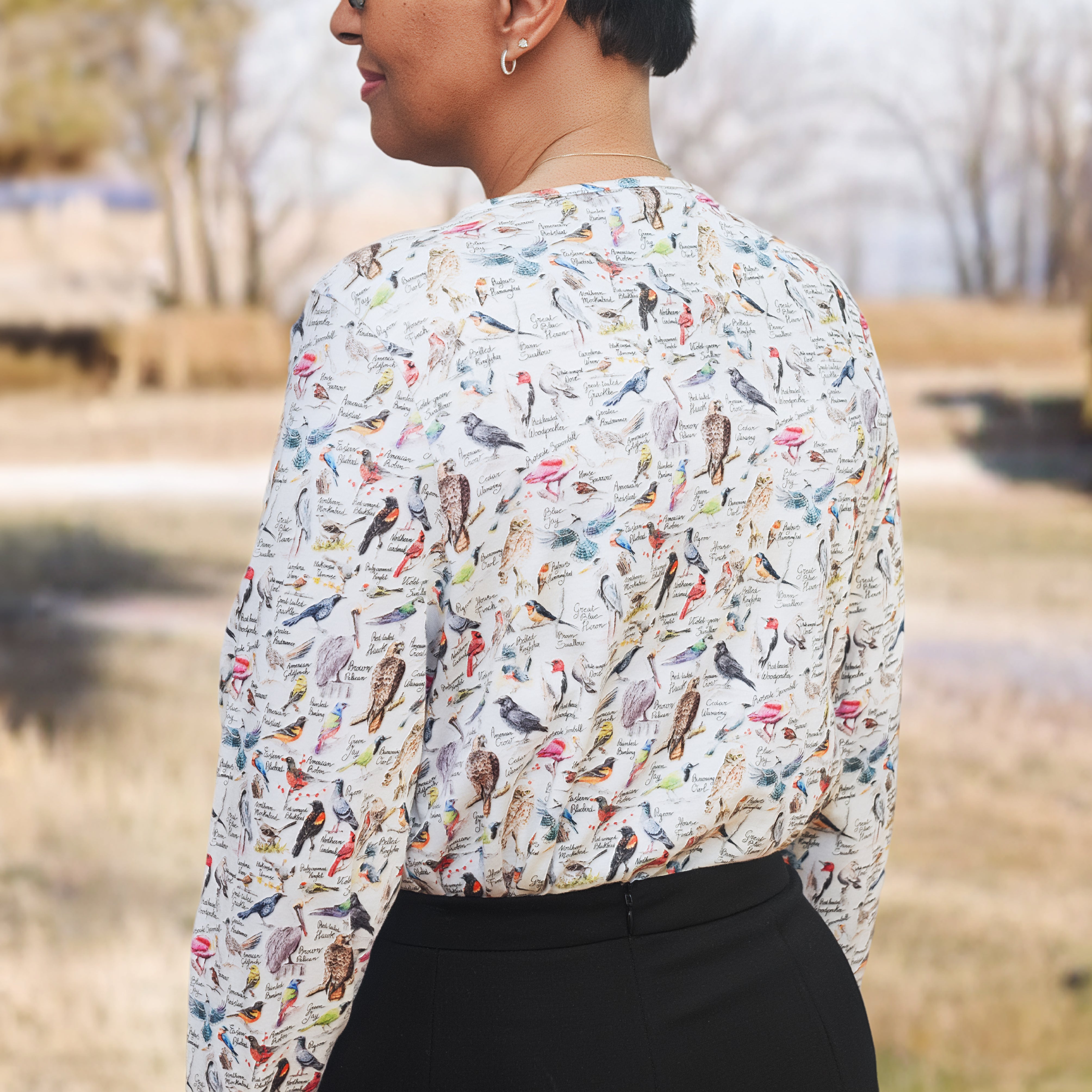 North American Birds Top