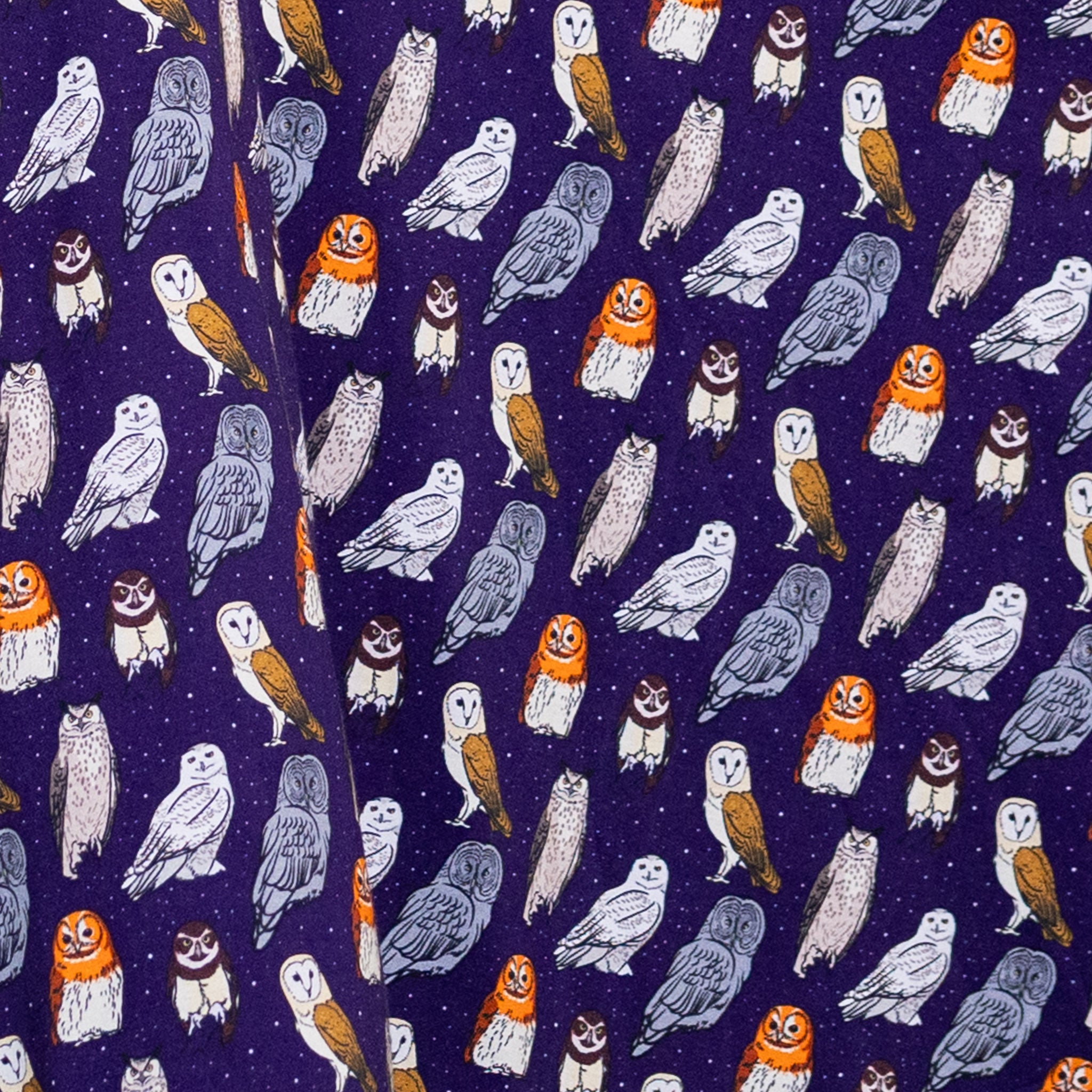 Owls 3/4th Sleeves Twirl Dress