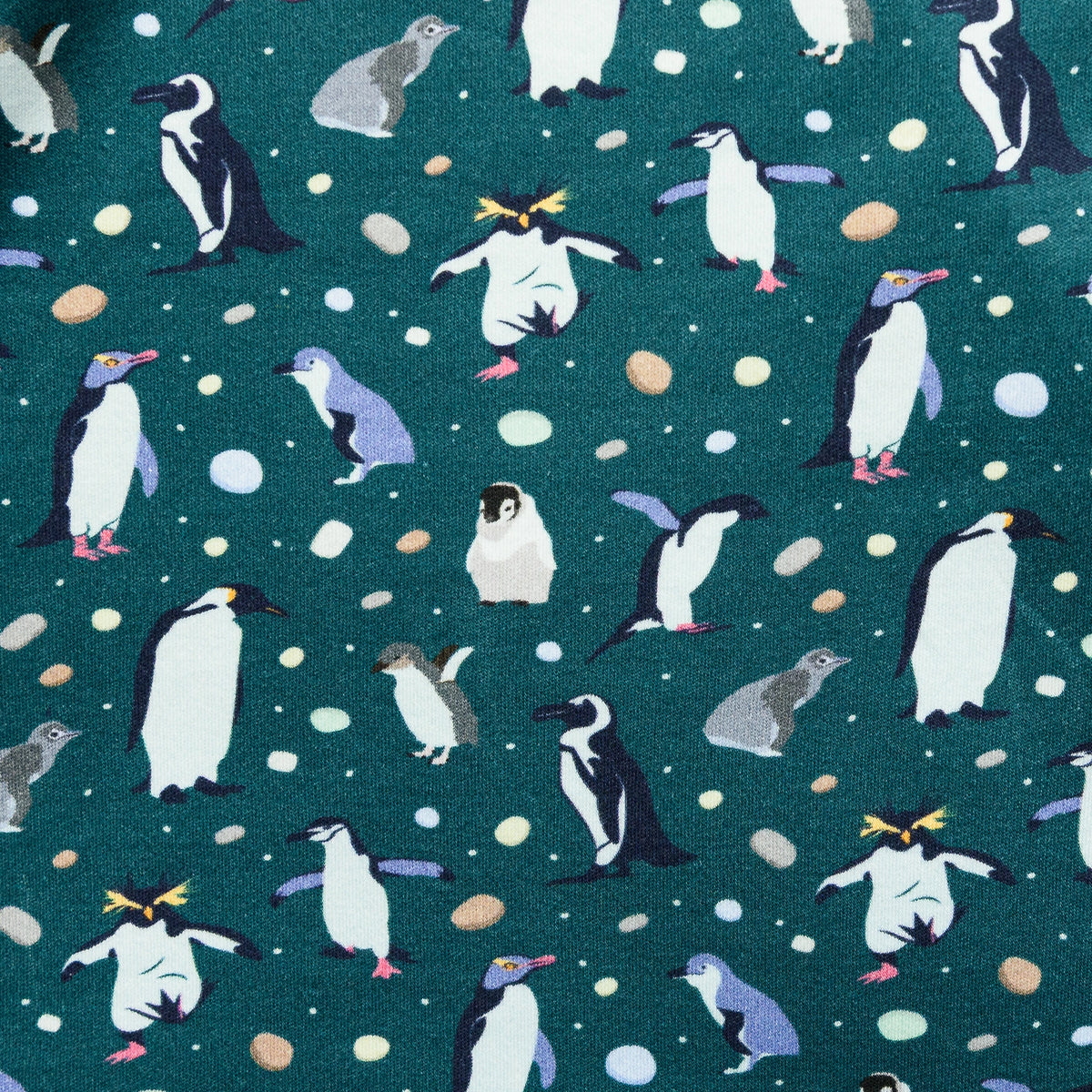 Penguin Parade Twirl Dress with Pockets