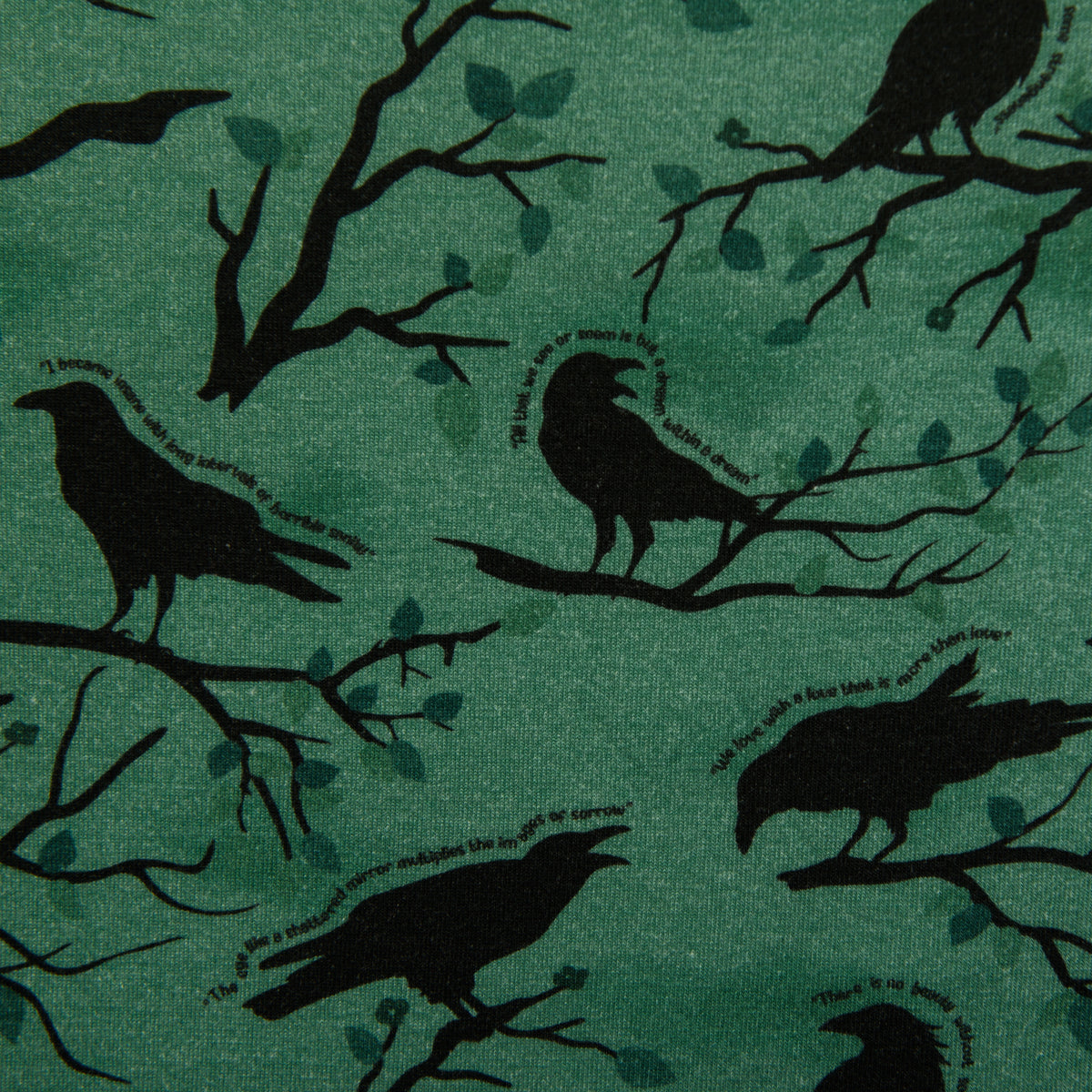 Quoth The Raven Twirl Dress with Pockets
