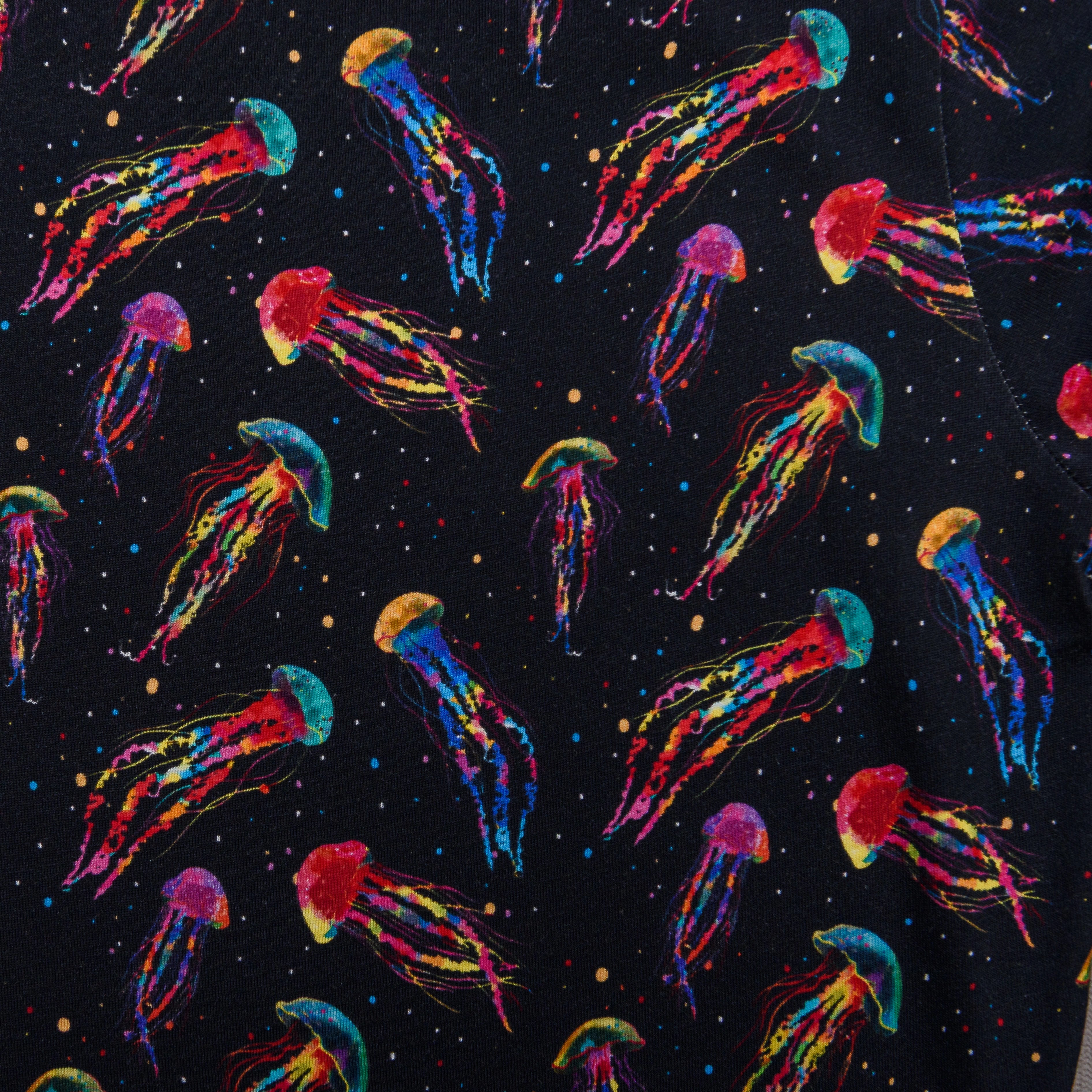 Rainbow Jellyfish