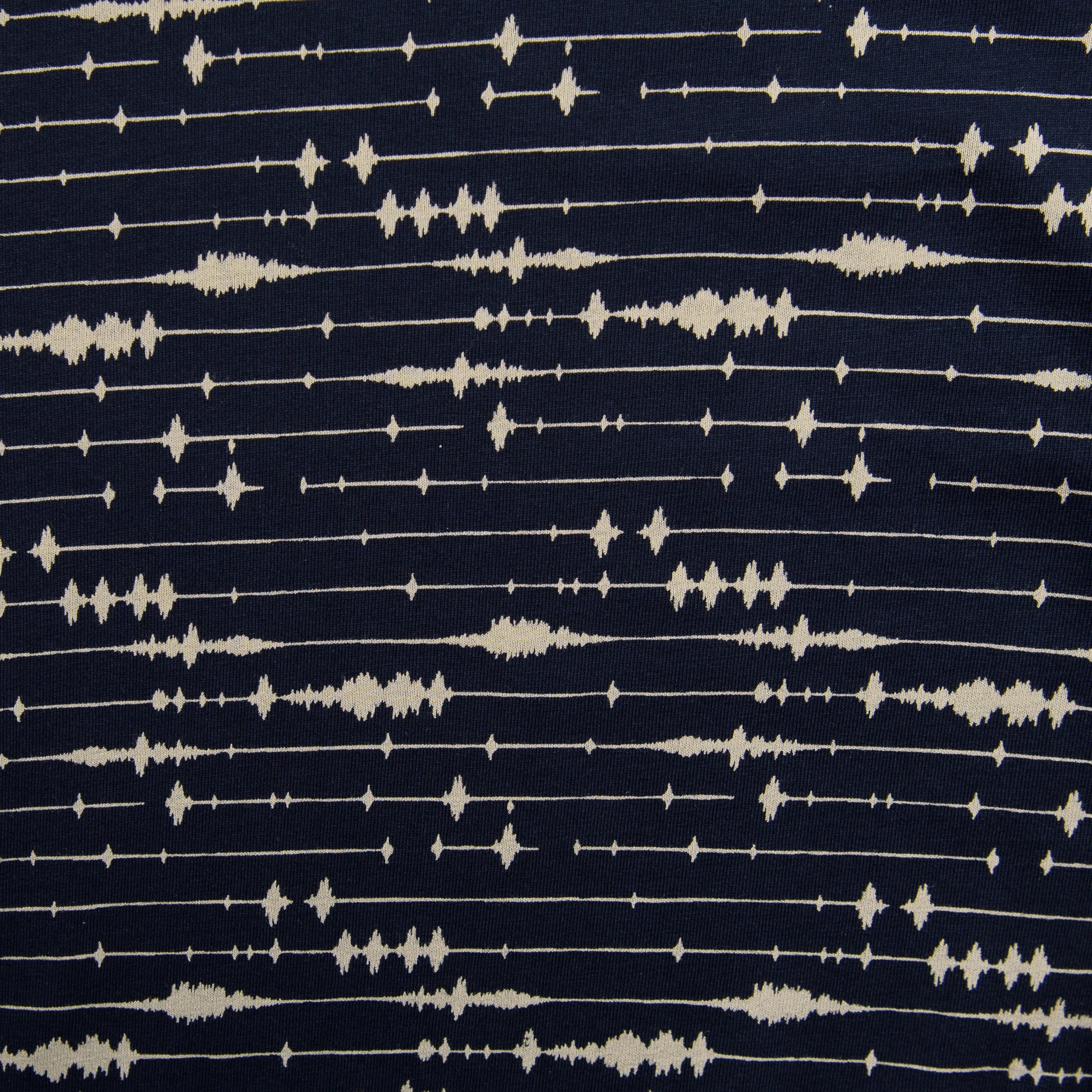 Seismic Waves