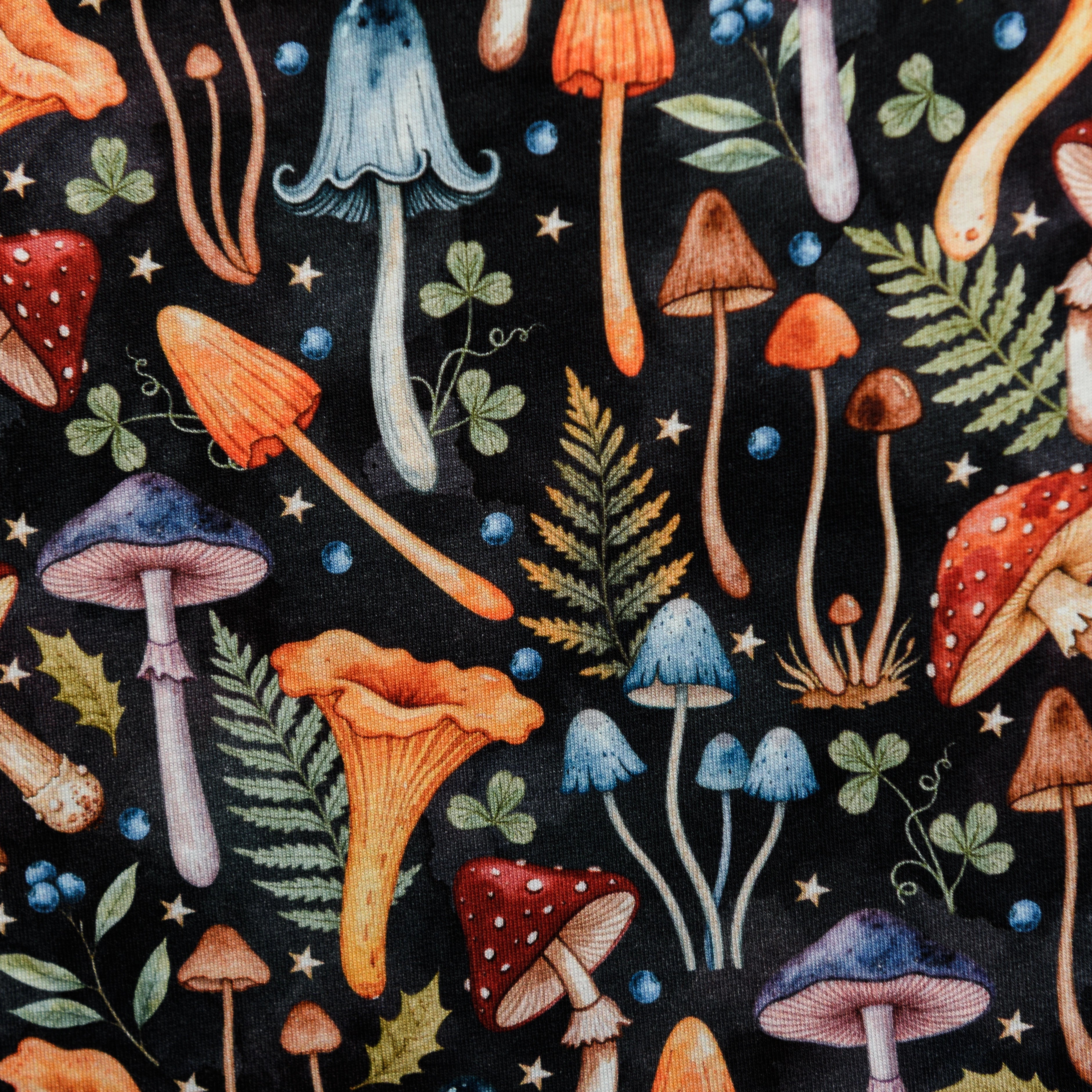 Stardust & Spores