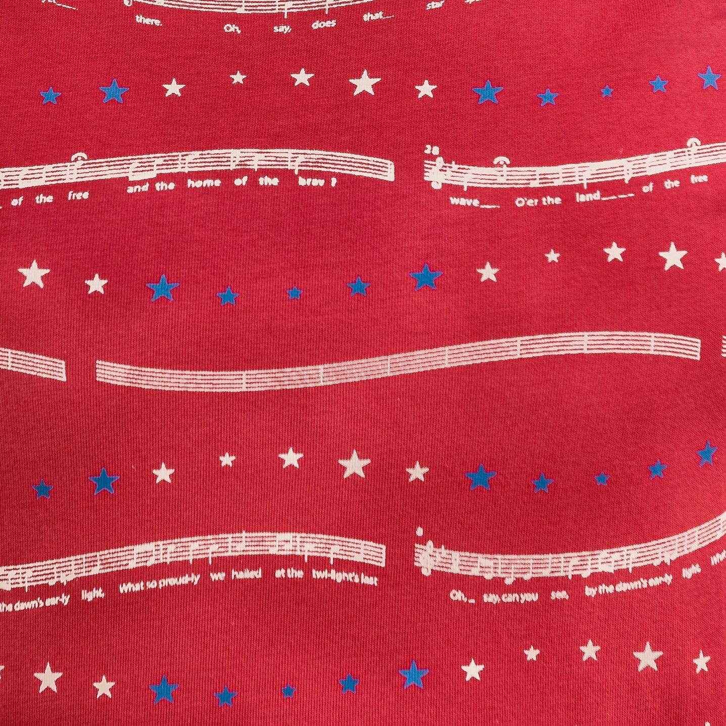 Star Spangled Banner Fit & Flare Dress with Pockets (ERROR)