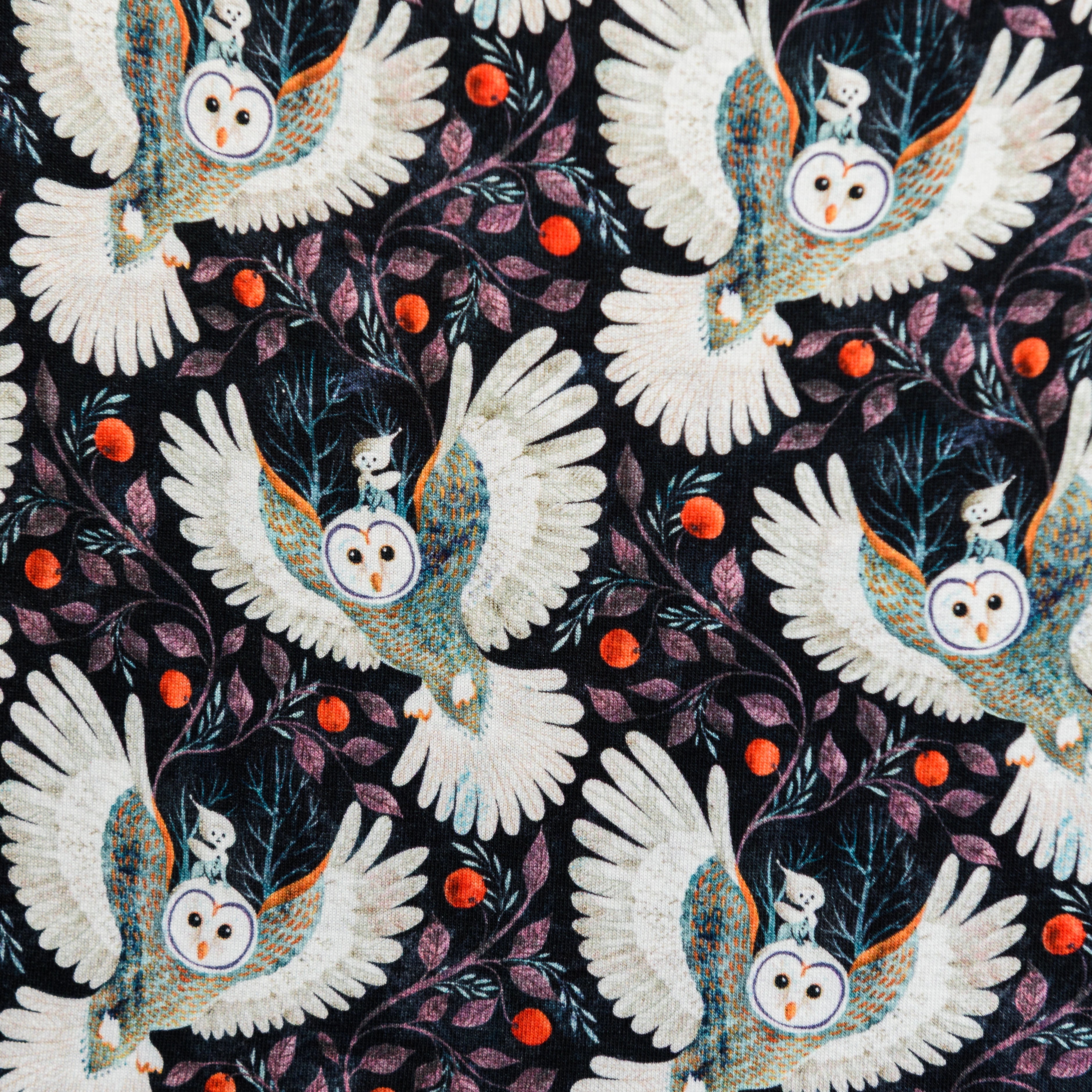 Winter Owl