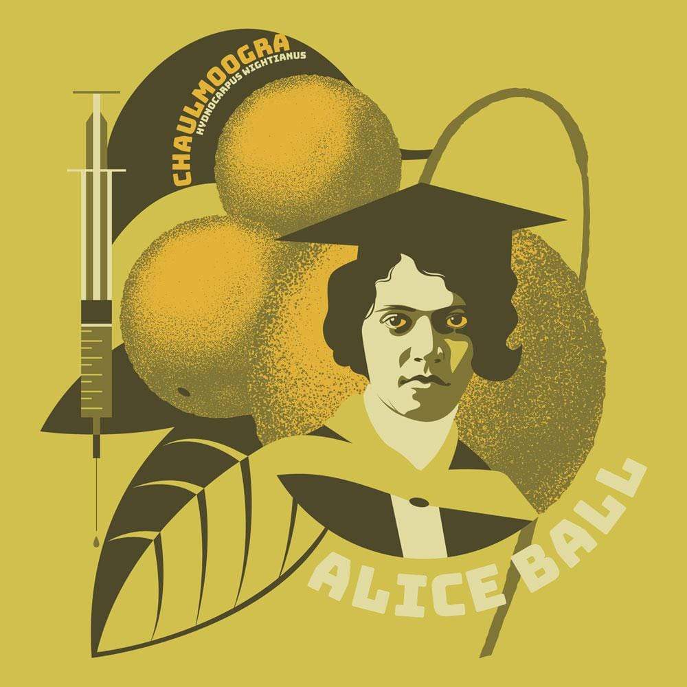 Alice Ball Raglan Top