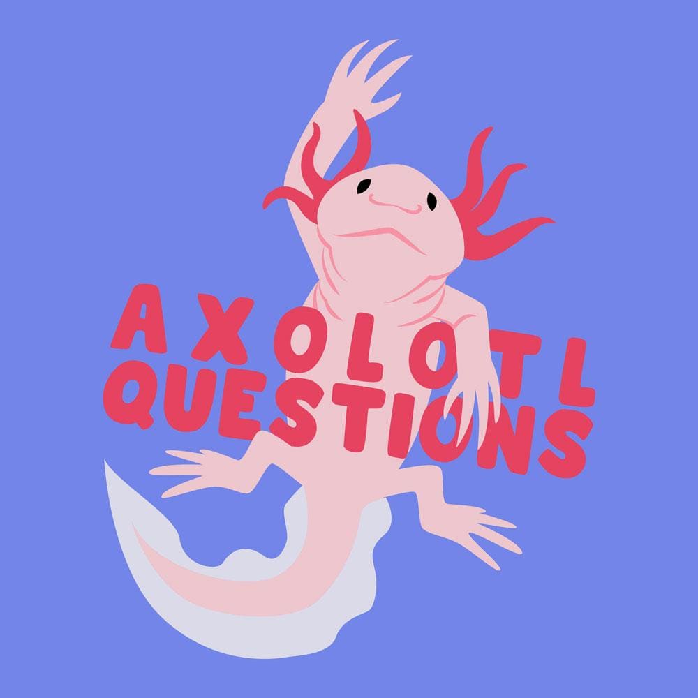 Axolotl Questions Kids T-Shirt (POD)