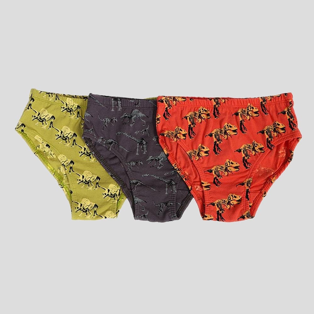 Dinosaur Fossils Kids Underwear [FINAL SALE]