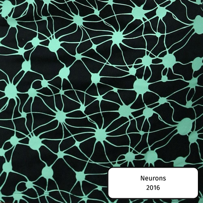 Neurons