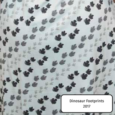 Dinosaur Footprints