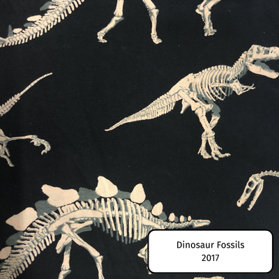 Dinosaur Fossils