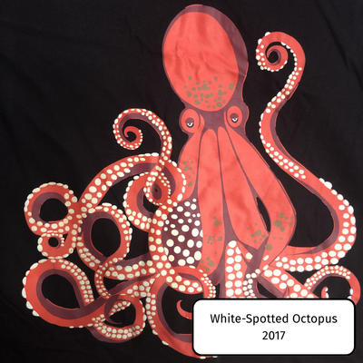 White-Spotted Octopus
