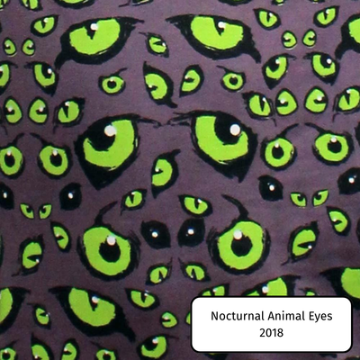 Nocturnal Animal Eyes