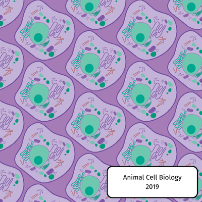 Animal Cell Biology