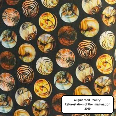 Augmented Reality: Reforestation of the Imagination