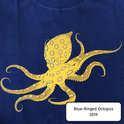 Blue-Ringed Octopus