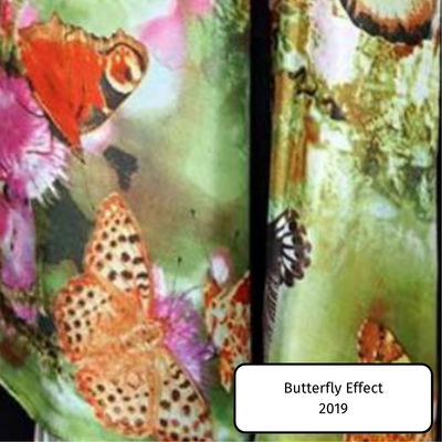Butterfly Effect