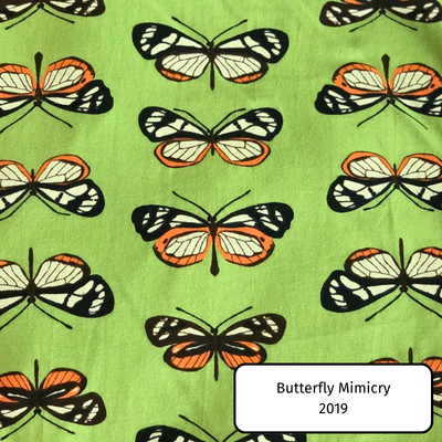 Butterfly Mimicry