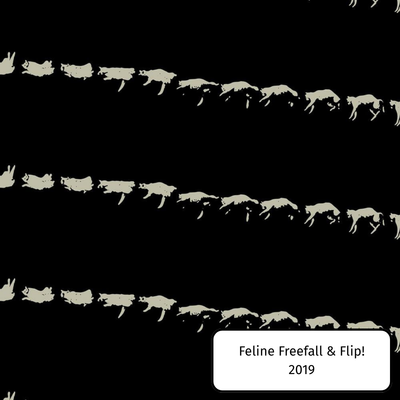 Feline Freefall & Flip!