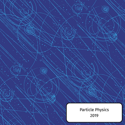 Particle Physics