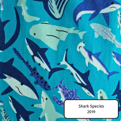 Shark Species