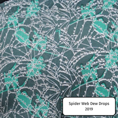 Spider Web Dew Drops