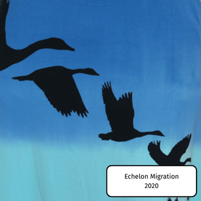 Echelon Migration