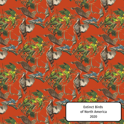 Extinct Birds Of North America