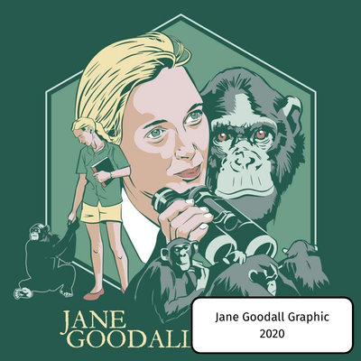 Jane Goodall Graphic