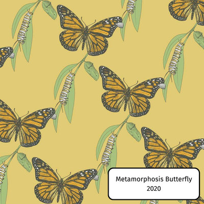 Metamorphosis Butterfly