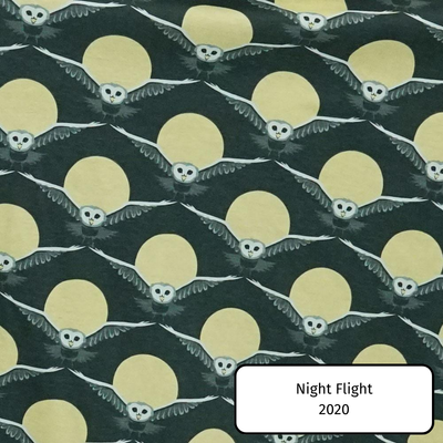 Night Flight