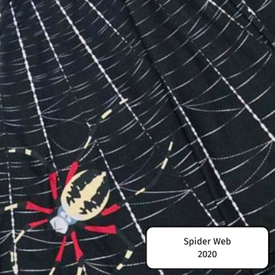 Spider Web