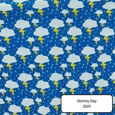 Stormy Day